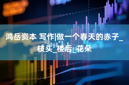 鸿岳资本 写作|做一个春天的赤子_枝头_楼后_花朵